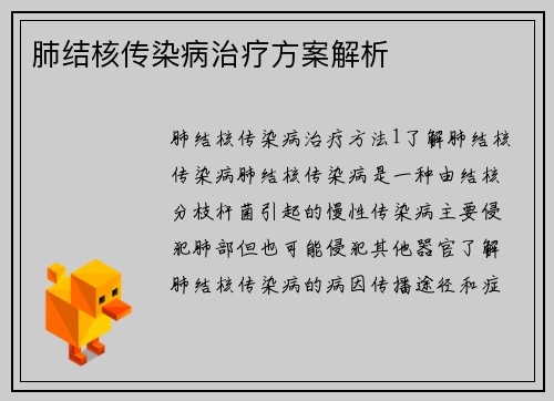 肺结核传染病治疗方案解析